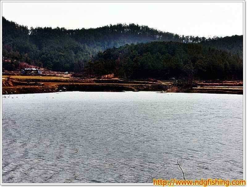 경남 창녕 및 밀양쪽 (조황조행기 - 낚시점조황)