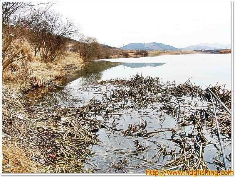 경남 창녕 및 밀양쪽 (조황조행기 - 낚시점조황)