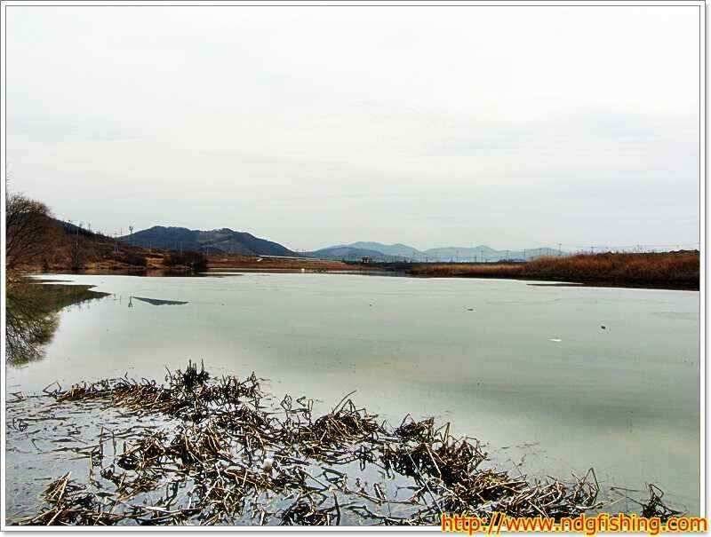 경남 창녕 및 밀양쪽 (조황조행기 - 낚시점조황)