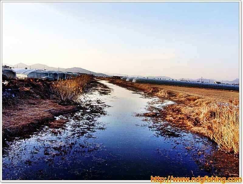 경남 창녕 및 밀양쪽 (조황조행기 - 낚시점조황)