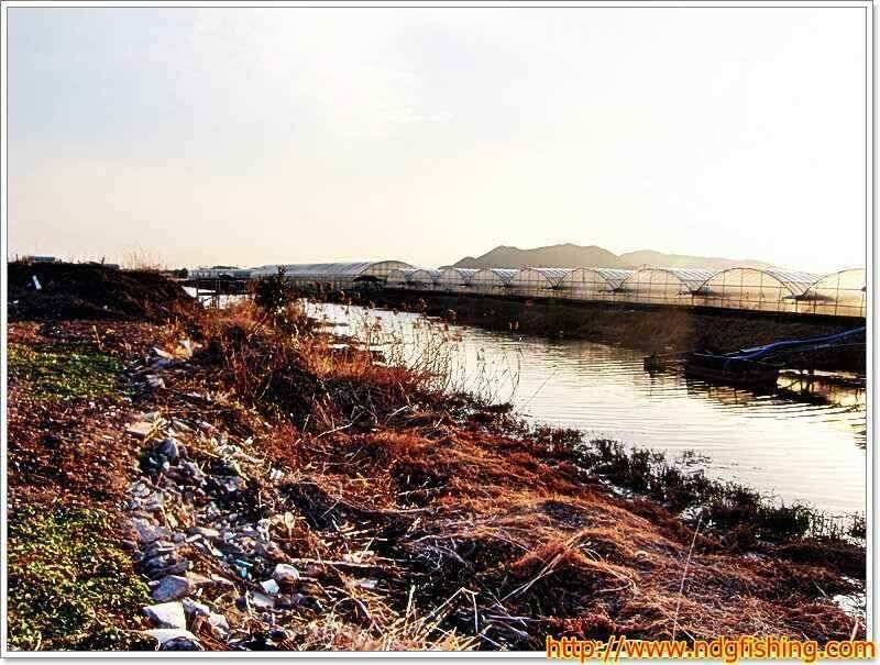경남 창녕 및 밀양쪽 (조황조행기 - 낚시점조황)