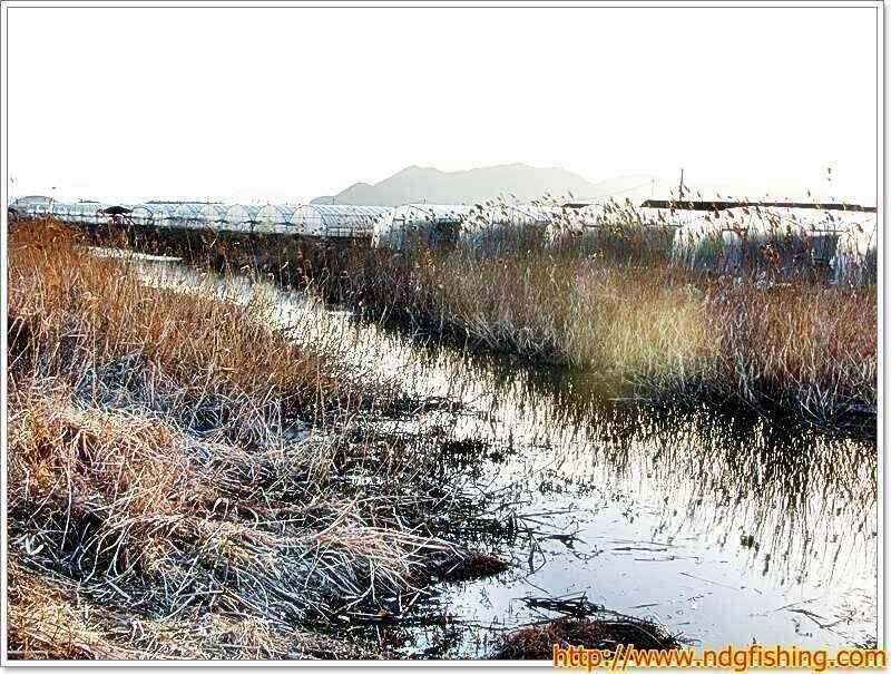 경남 창녕 및 밀양쪽 (조황조행기 - 낚시점조황)