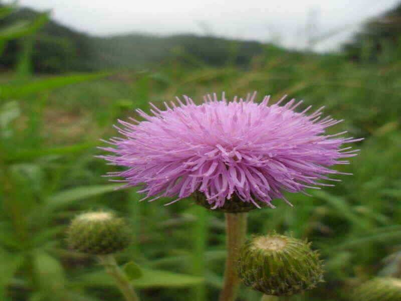 하양금호대창영천권 조황 입니다 (조황조행기 - 낚시점조황)