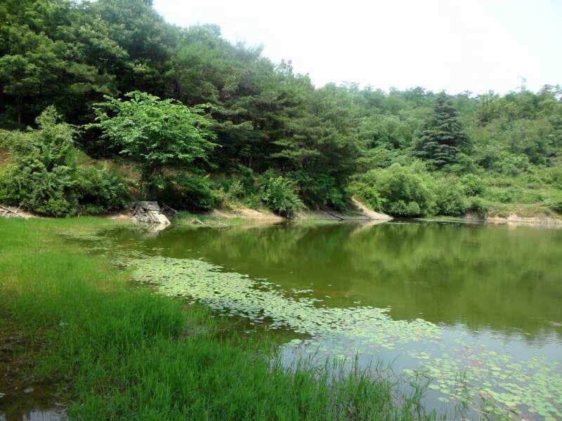 하양금호대창영천권 조황입니다 (조황조행기 - 낚시점조황)