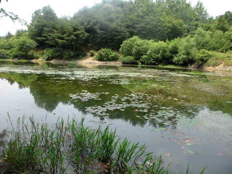 하양금호대창영천권 조황입니다 (조황조행기 - 낚시점조황)