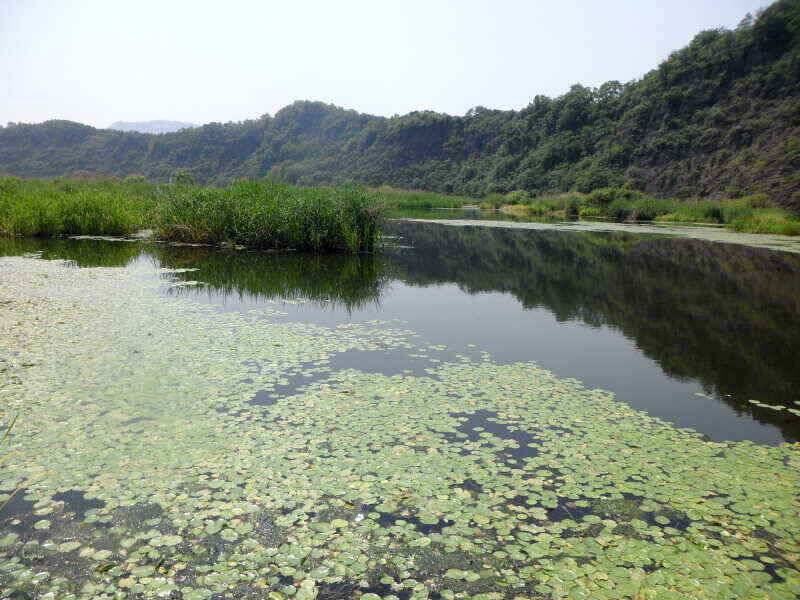 하양금호대창영천권 조황정보 입니다 (조황조행기 - 낚시점조황)