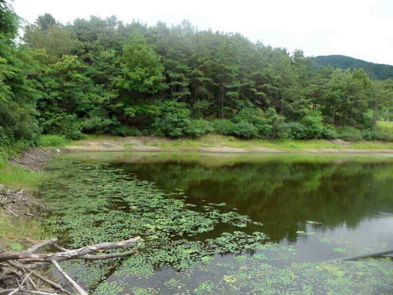 하양금호대창영천권 조황입니다 (조황조행기 - 낚시점조황)