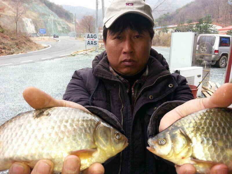 확장이전팔조령 터널500미터전 (조황조행기 - 낚시점조황)