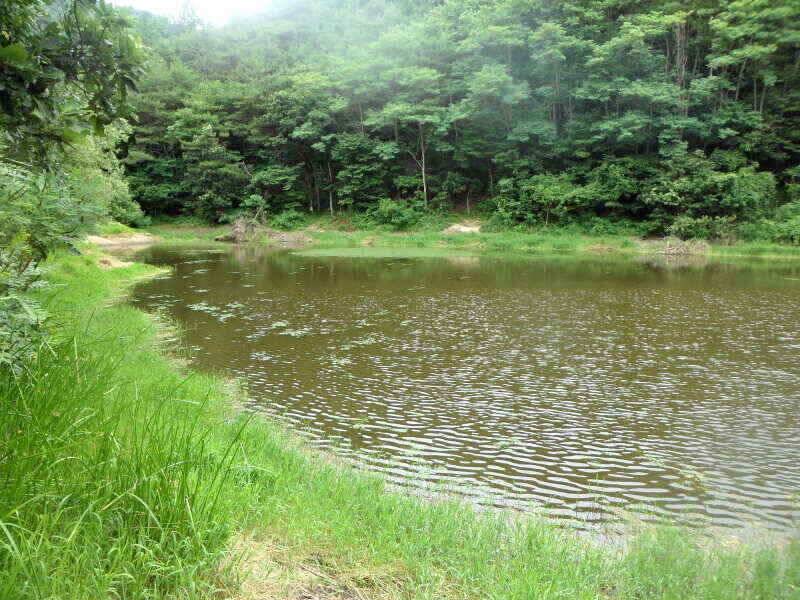 하양금호대창영천권 조황입니다 (조황조행기 - 낚시점조황)