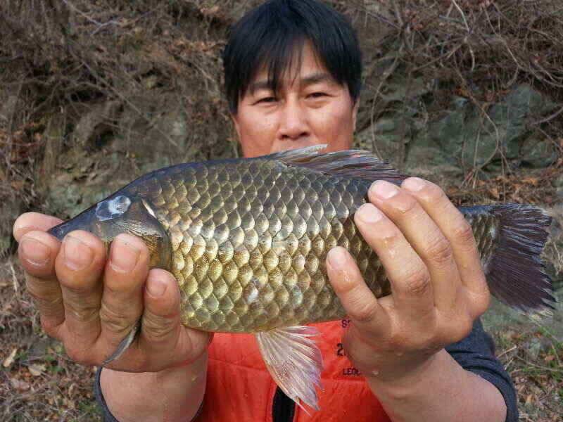 확장이전팔조령 터널500미터전 (조황조행기 - 낚시점조황)