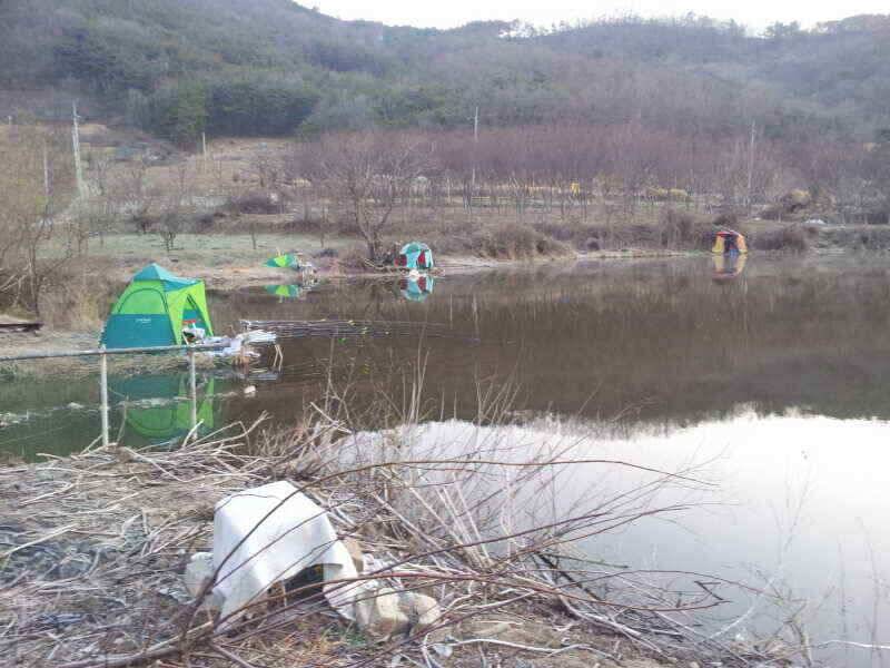 청도권신지풍낙명곡조황입니다 (조황조행기 - 낚시점조황)
