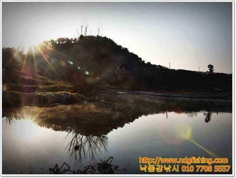 창원 낙동강낚시 (조황조행기 - 낚시점조황)