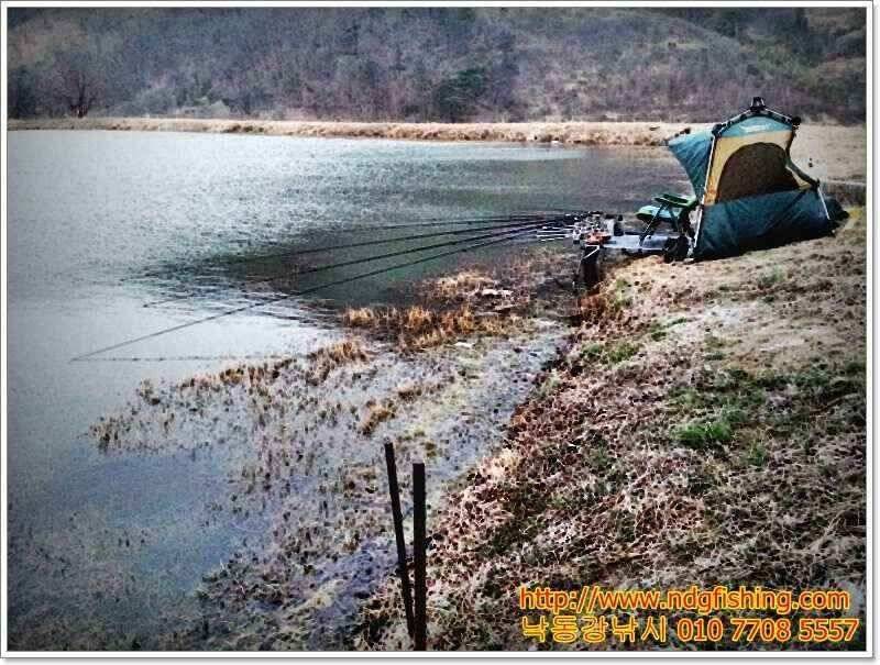 창원 낙동강낚시 (조황조행기 - 낚시점조황)
