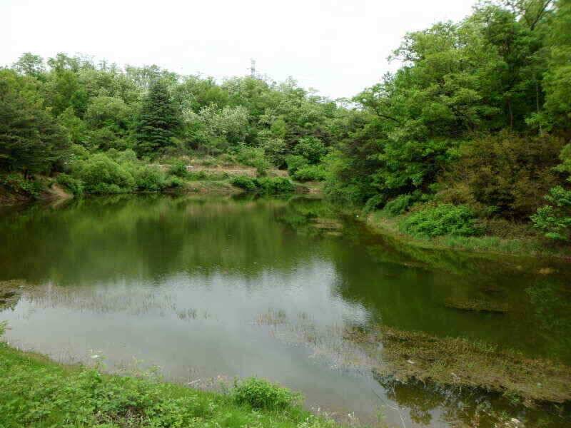 하양금호대창권 5월 2째주 조황 입니다 (조황조행기 - 낚시점조황)