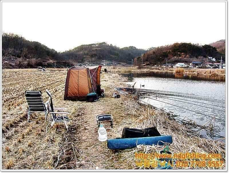 창원 낙동강낚시 (조황조행기 - 낚시점조황)