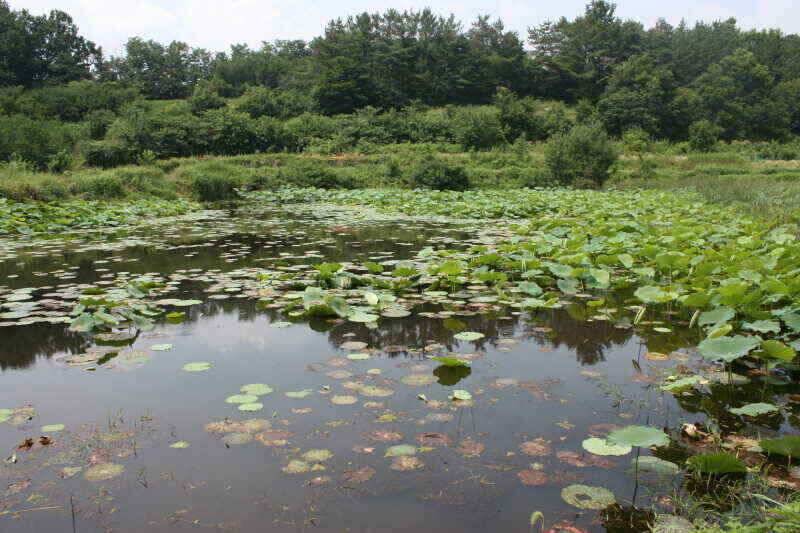 안녕 하세요 경산권 조황정보 올려 드립니다 (조황조행기 - 낚시점조황)
