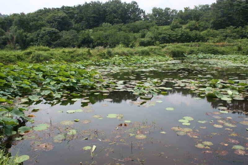 안녕 하세요 경산권 조황정보 올려 드립니다 (조황조행기 - 낚시점조황)