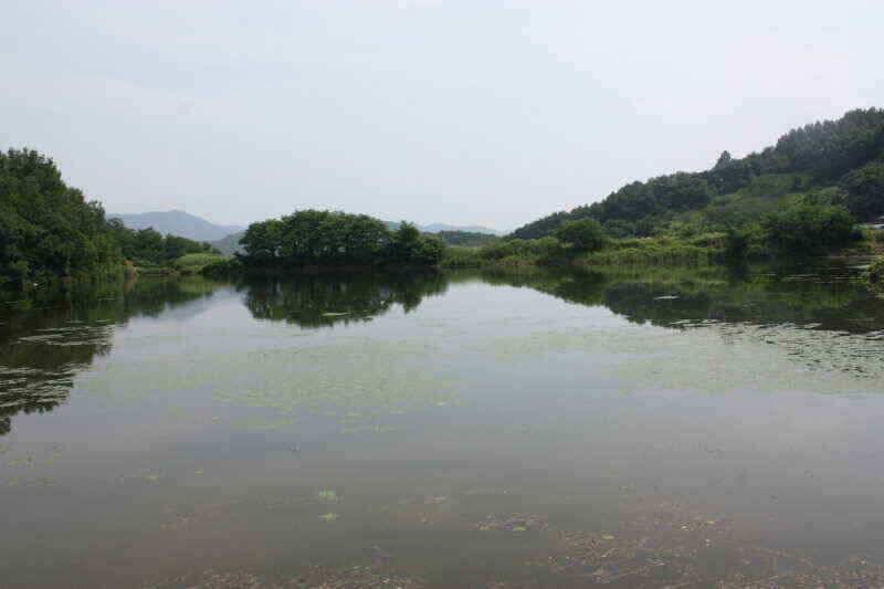 안녕 하세요 경산권 조황정보 올려 드립니다 (조황조행기 - 낚시점조황)