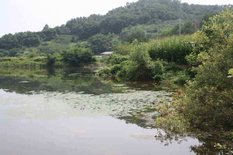 안녕 하세요 경산권 조황정보 올려 드립니다 (조황조행기 - 낚시점조황)