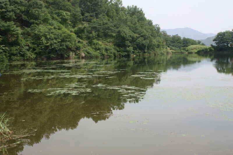 안녕 하세요 경산권 조황정보 올려 드립니다 (조황조행기 - 낚시점조황)