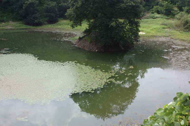 안녕 하세요 경산권 조황정보 올려 드립니다 (조황조행기 - 낚시점조황)