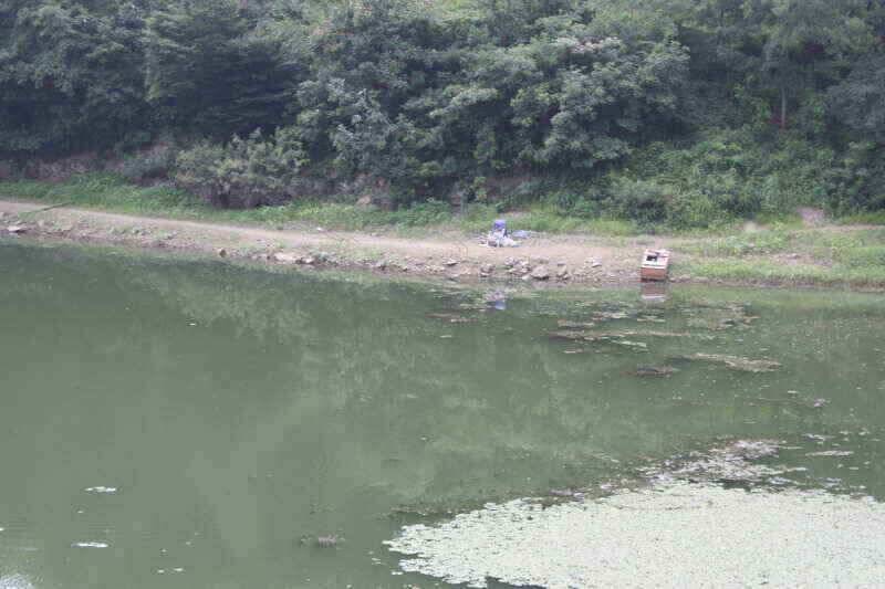 안녕 하세요 경산권 조황정보 올려 드립니다 (조황조행기 - 낚시점조황)