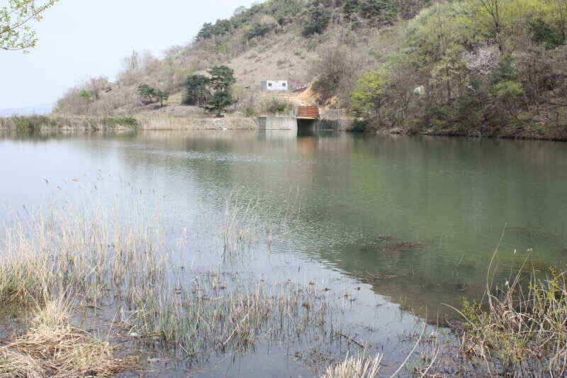 경산 시민낚시 올해 첫인사 올립니다 (조황조행기 - 낚시점조황)