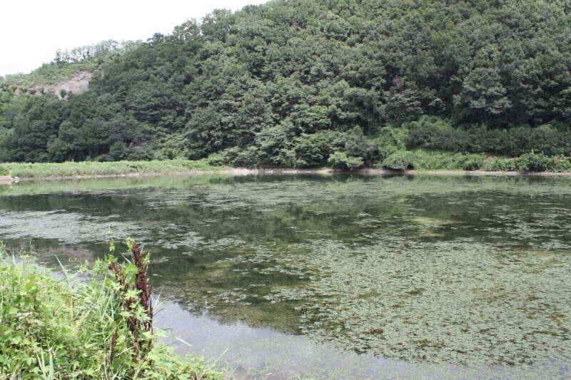경산권 현제 소류지 상황 올려 드립니다 (조황조행기 - 낚시점조황)