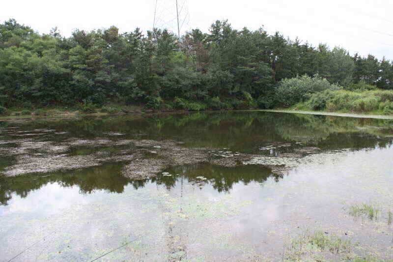 경산권 현제 소류지 상황 올려 드립니다 (조황조행기 - 낚시점조황)