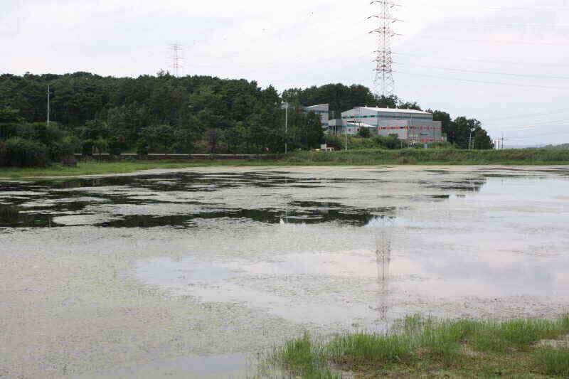 경산권 현제 소류지 상황 올려 드립니다 (조황조행기 - 낚시점조황)