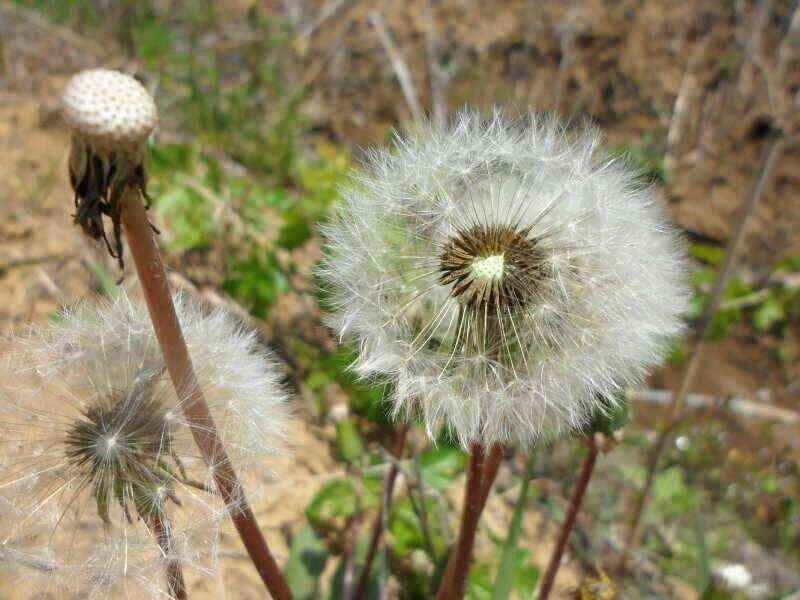 안녕하세요 하양낚시 입니다 하양금호대창조황 입니다 (조황조행기 - 낚시점조황)