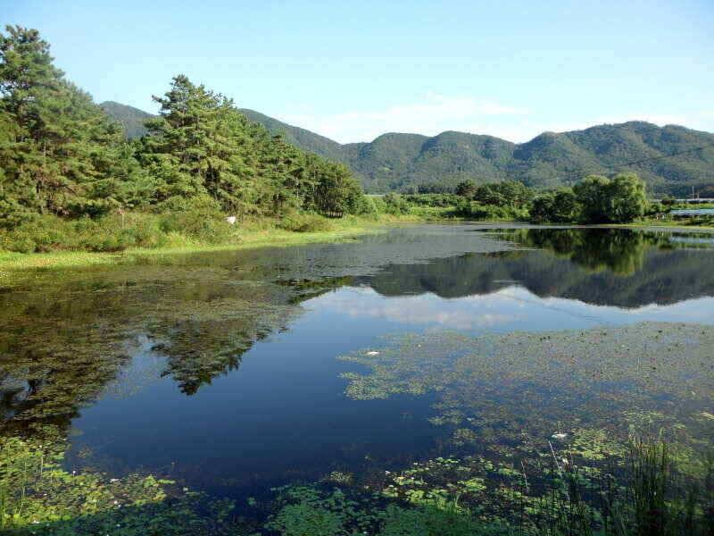 하양금호대창영천권 조황 입니다 (조황조행기 - 낚시점조황)