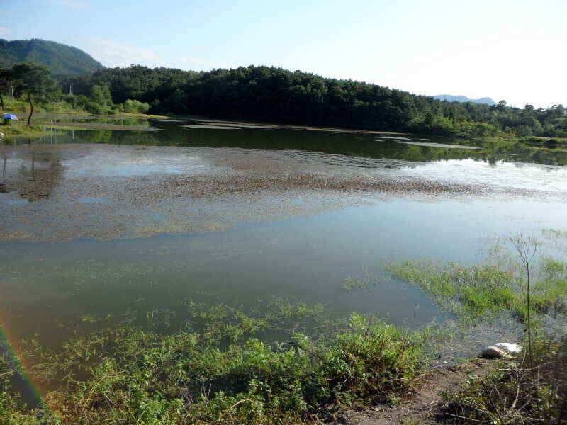 하양금호대창영천권 조황 입니다 (조황조행기 - 낚시점조황)