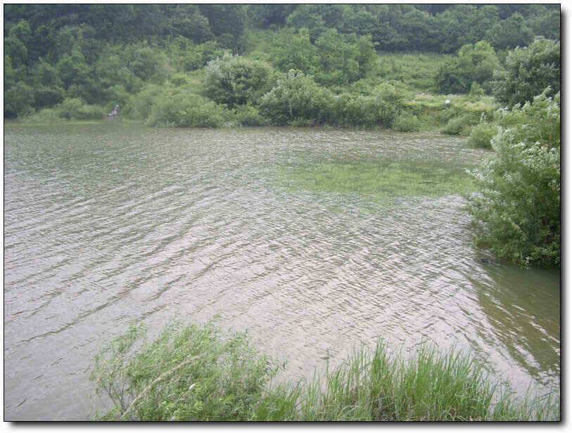 칠곡성주권유망한 저수지 탐방 (조황조행기 - 낚시점조황)