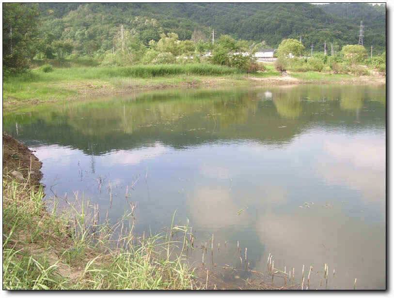 칠곡성주권유망한 저수지 탐방 (조황조행기 - 낚시점조황)