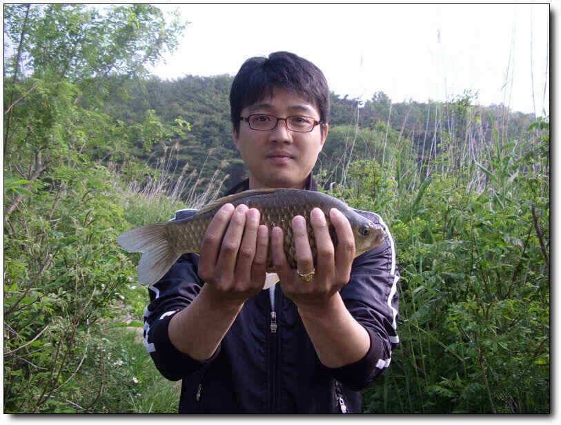 칠곡성주권 조황호조황 (조황조행기 - 낚시점조황)