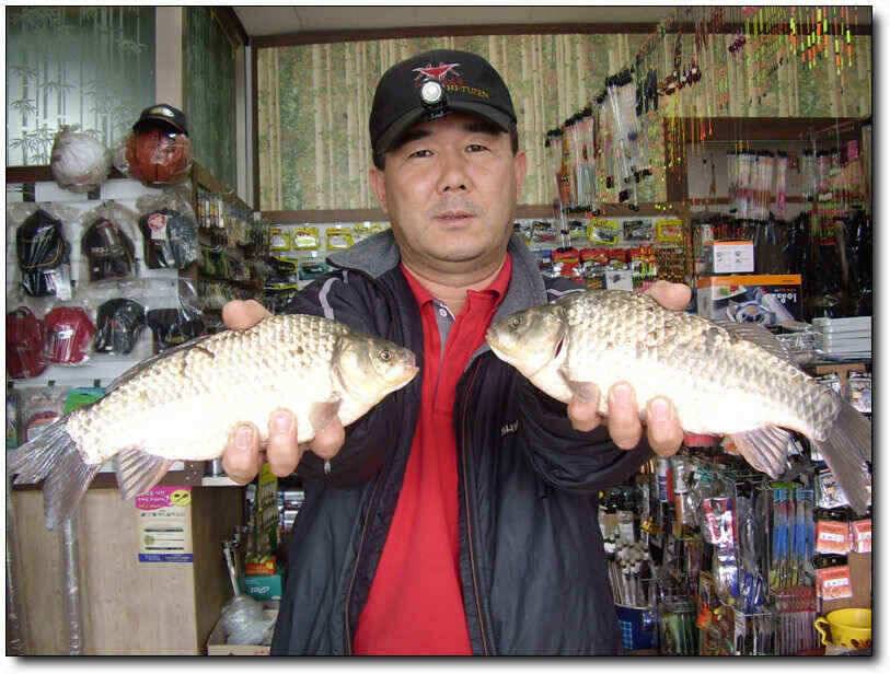칠곡성주권 조황및 분석 (조황조행기 - 낚시점조황)