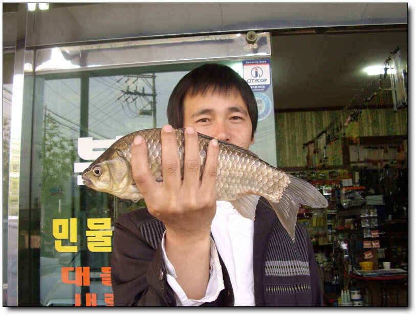 칠곡성주권 조황호조황 (조황조행기 - 낚시점조황)