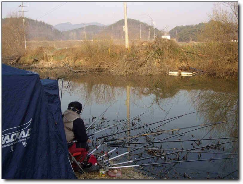 칠곡성주권조황4짜4짜월척 마리수 (조황조행기 - 낚시점조황)