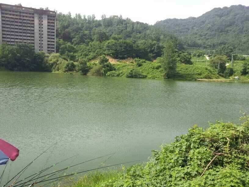 오랜만에 올리는 구미권 조황입니다 (조황조행기 - 낚시점조황)