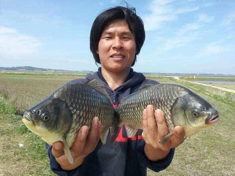 천수만부남호 5월2일 41cm 혹부리와 연일4짜 조황 (조황조행기 - 낚시점조황)