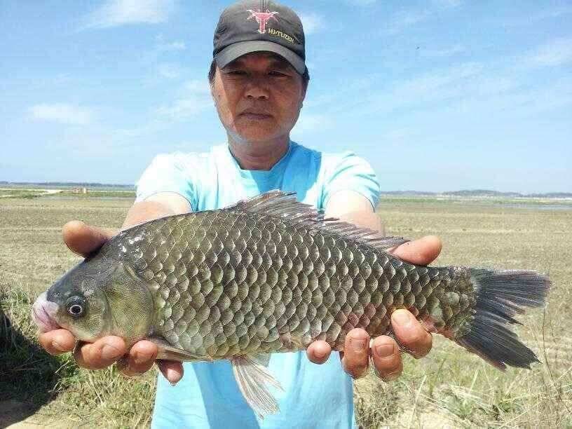 천수만부남호 5월2일 41cm 혹부리와 연일4짜 조황 (조황조행기 - 낚시점조황)
