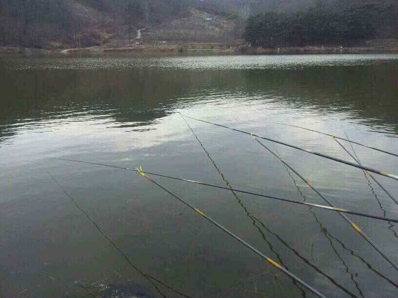 안녕하세요 가창팔조낚시입니다 (조황조행기 - 낚시점조황)