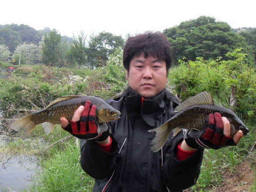 성주권 조황 입니다 (조황조행기 - 낚시점조황)