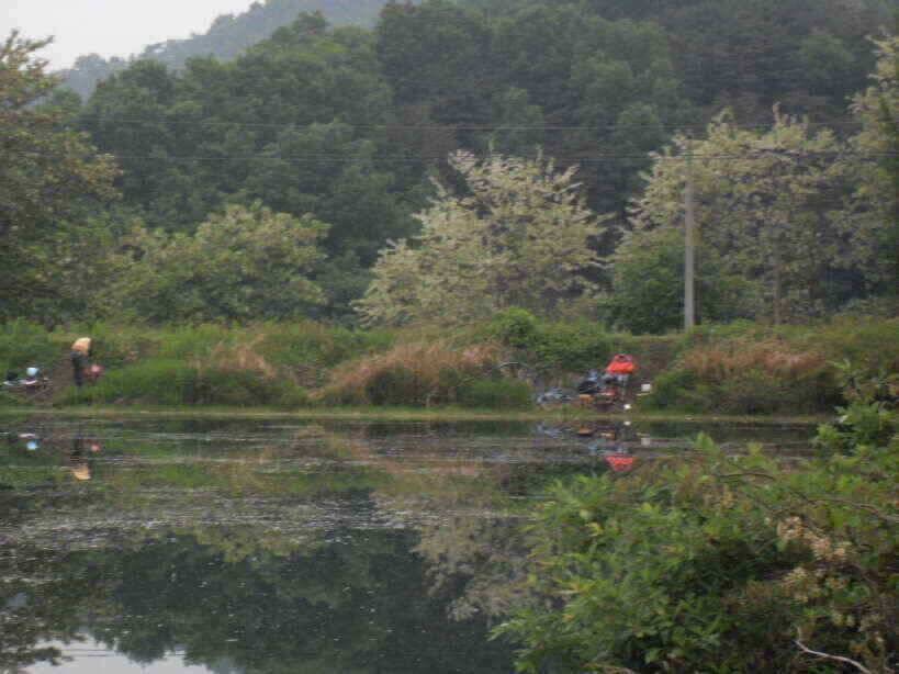 성주권 조황 입니다 (조황조행기 - 낚시점조황)