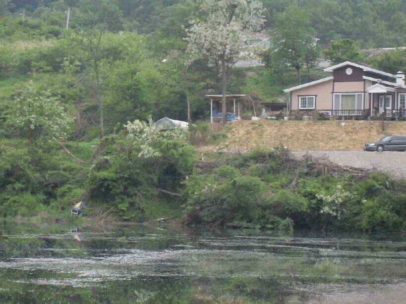 성주권 조황 입니다 (조황조행기 - 낚시점조황)