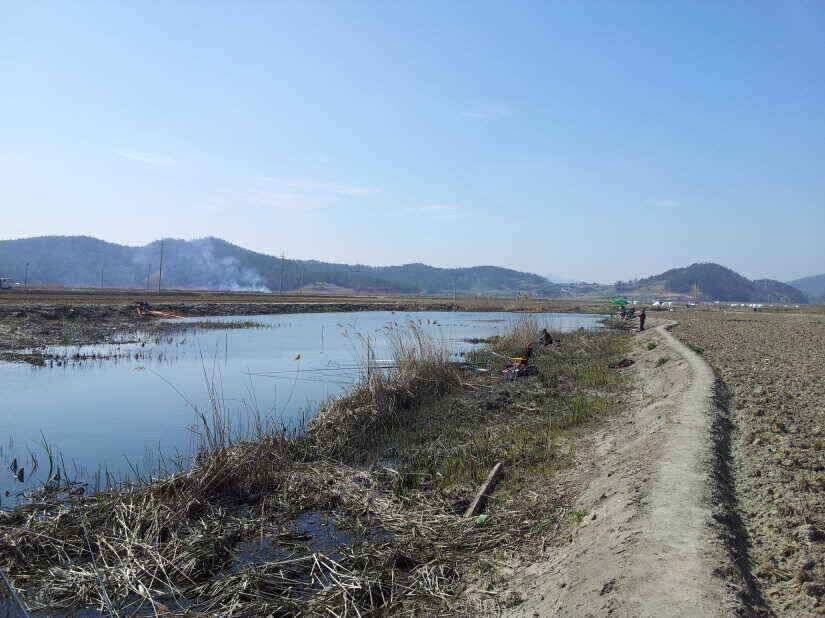 무안 구정리 수로조황 (조황조행기 - 낚시점조황)