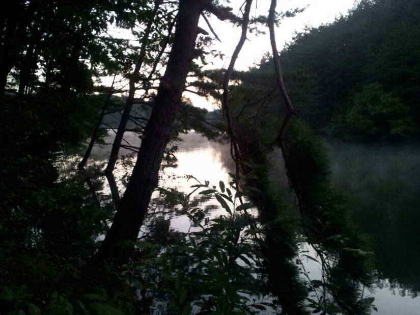 기록 시즌입니다 (조황조행기 - 낚시점조황)