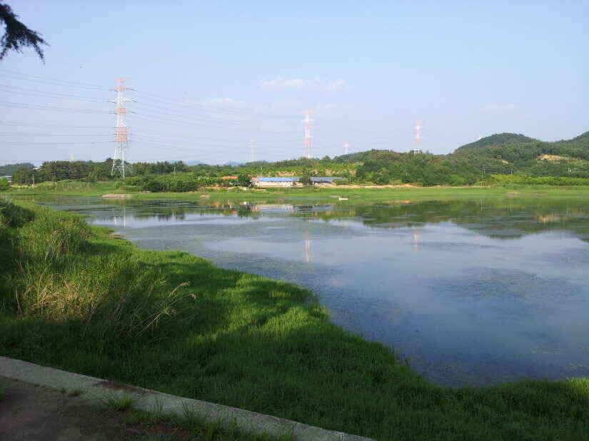 지금 출발 하십시요 (조황조행기 - 낚시점조황)