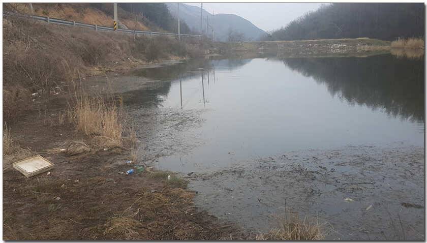 칠곡성주권 조황4241393938외 마리수 (조황조행기 - 낚시점조황)